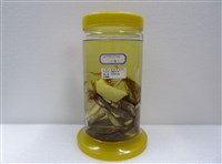 藏品(褐藍子魚)的圖片